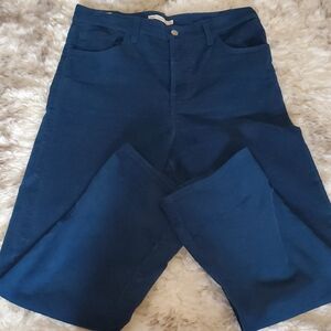Men's Blue Pants